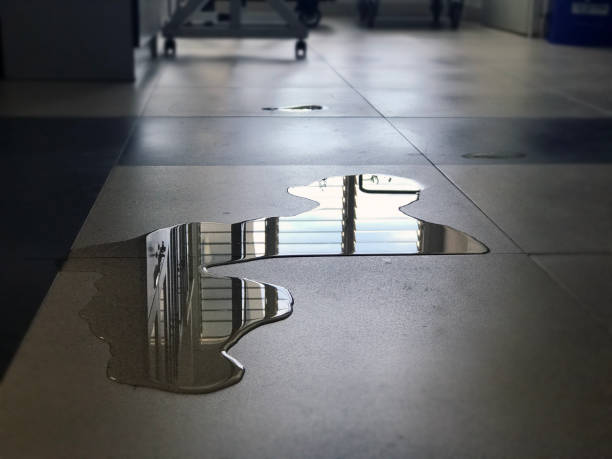 Best Professional water damage repair  in Lexington, OH