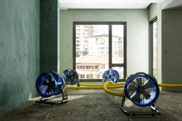 Sewage cleanup and water damage restoration in Lexington, OH