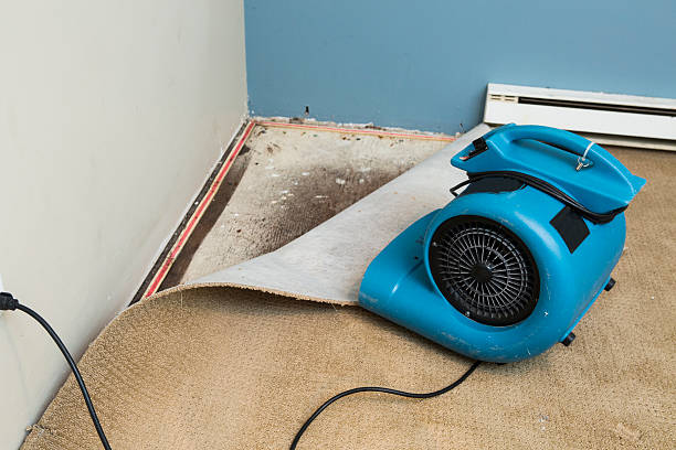 Best Carpet water damage restoration  in Lexington, OH